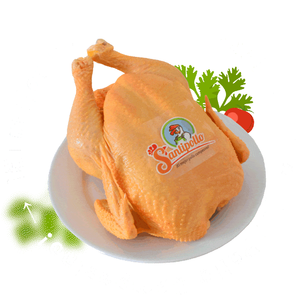 nuevo1-min